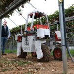 B.T. reveals the role of robotics and IoT in transforming and automating agriculture.