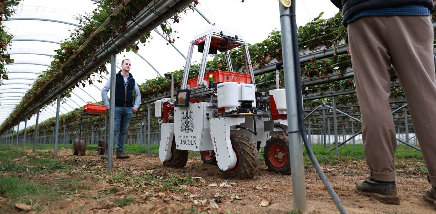 B.T. reveals the role of robotics and IoT in transforming and automating agriculture.